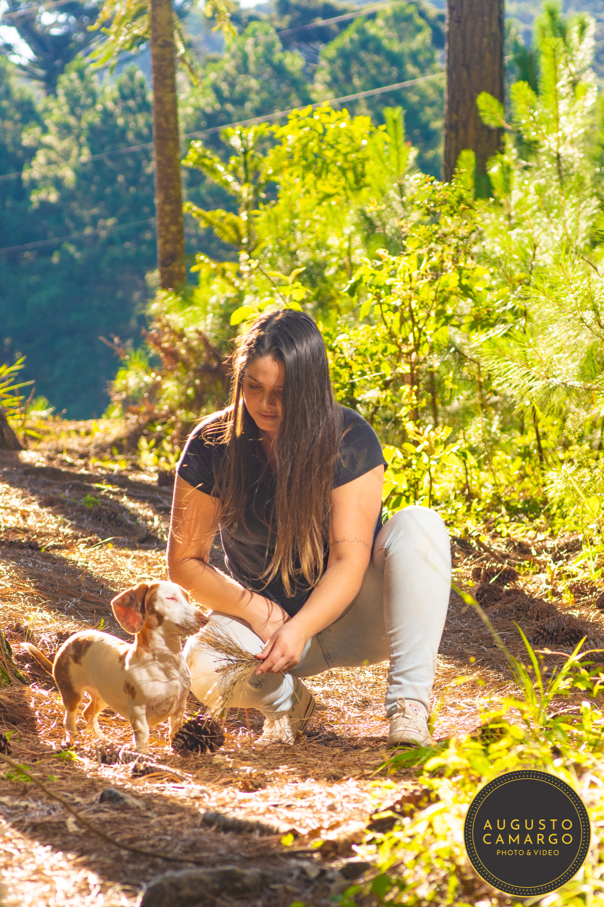 dachshund linguicinha cofap arlequin cego cruzamento indevido canil adoção deficiente cão tutor 