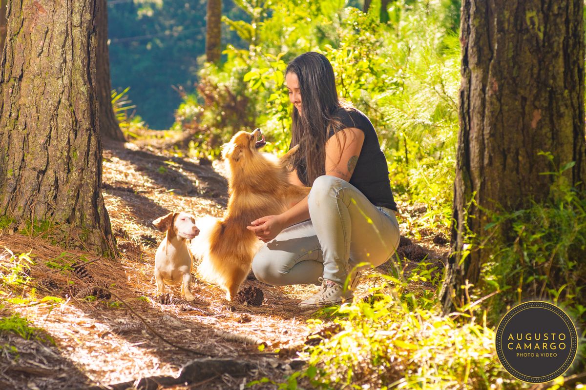 dachshund linguicinha cofap arlequin cego cruzamento indevido canil adoção deficiente cão tutor 