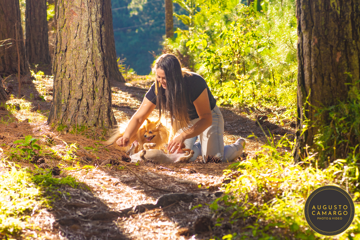 dachshund linguicinha cofap arlequin cego cruzamento indevido canil adoção deficiente cão tutor 