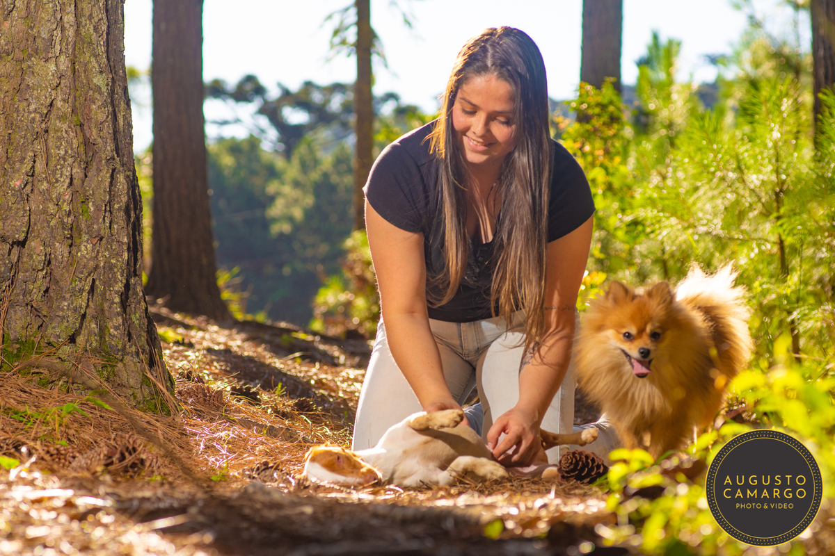 dachshund linguicinha cofap arlequin cego cruzamento indevido canil adoção deficiente cão tutor 