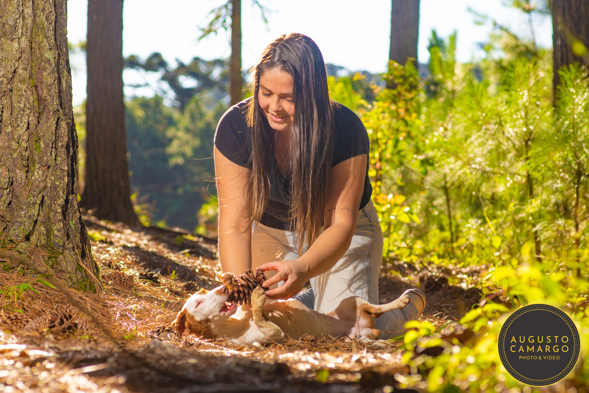 dachshund linguicinha cofap arlequin cego cruzamento indevido canil adoção deficiente cão tutor 