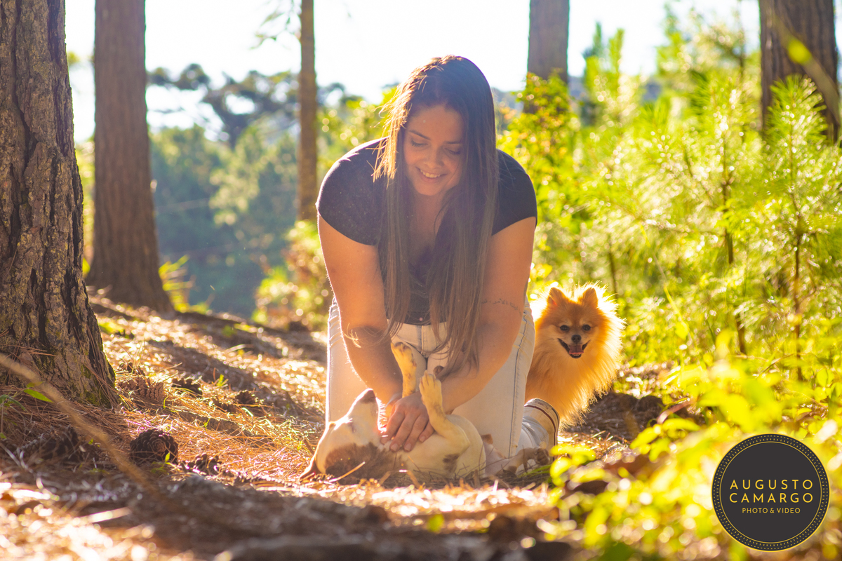 dachshund linguicinha cofap arlequin cego cruzamento indevido canil adoção deficiente cão tutor 