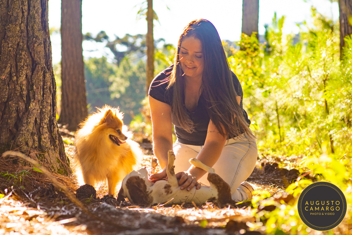 dachshund linguicinha cofap arlequin cego cruzamento indevido canil adoção deficiente cão tutor 