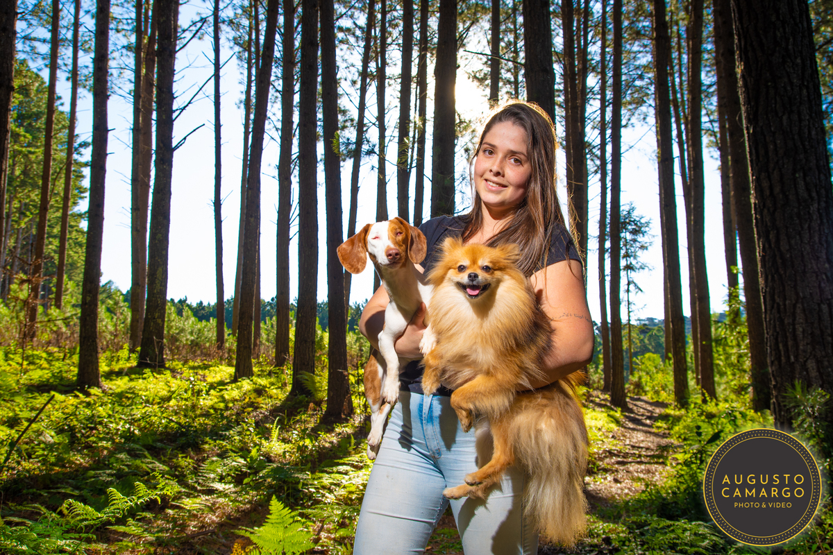dachshund linguicinha cofap arlequin cego cruzamento indevido canil adoção deficiente cão tutor 