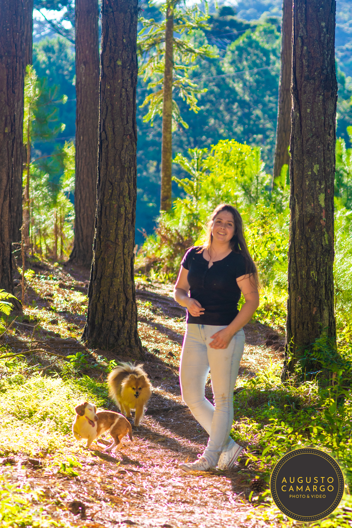 dachshund linguicinha cofap arlequin cego cruzamento indevido canil adoção deficiente cão tutor 
