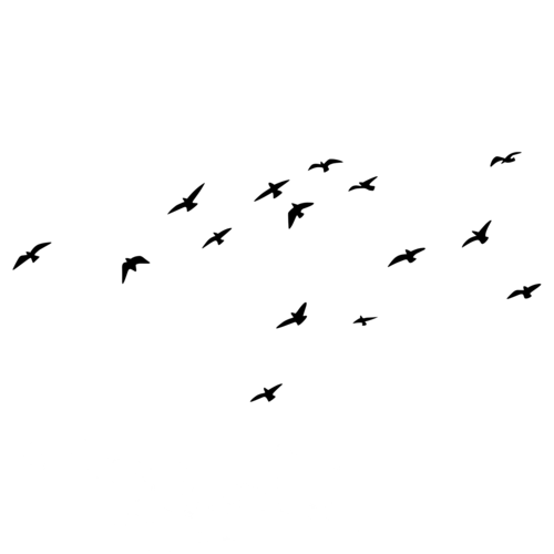 Logotipo de Flávia Bouch Zagury