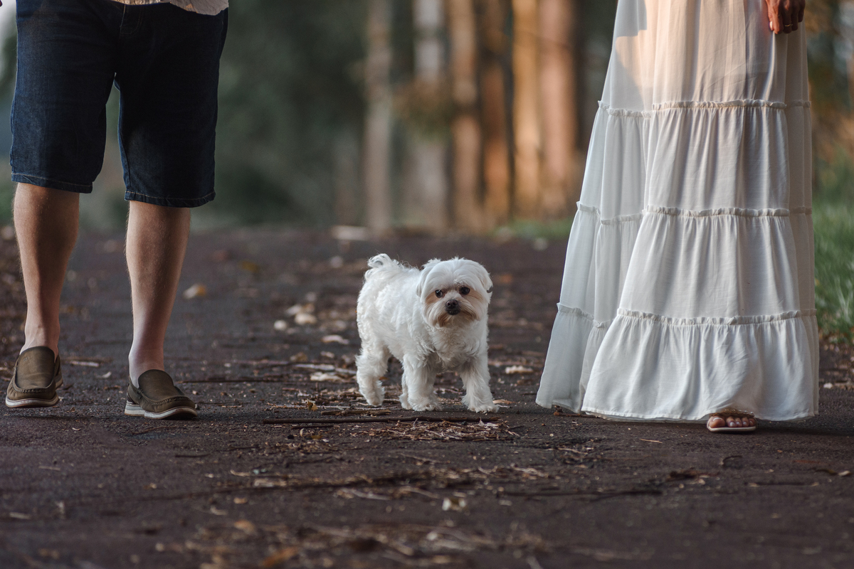 Ensaio pre casamento; pre wedding em Foz do Iguaçu, casal passeando com cachorro