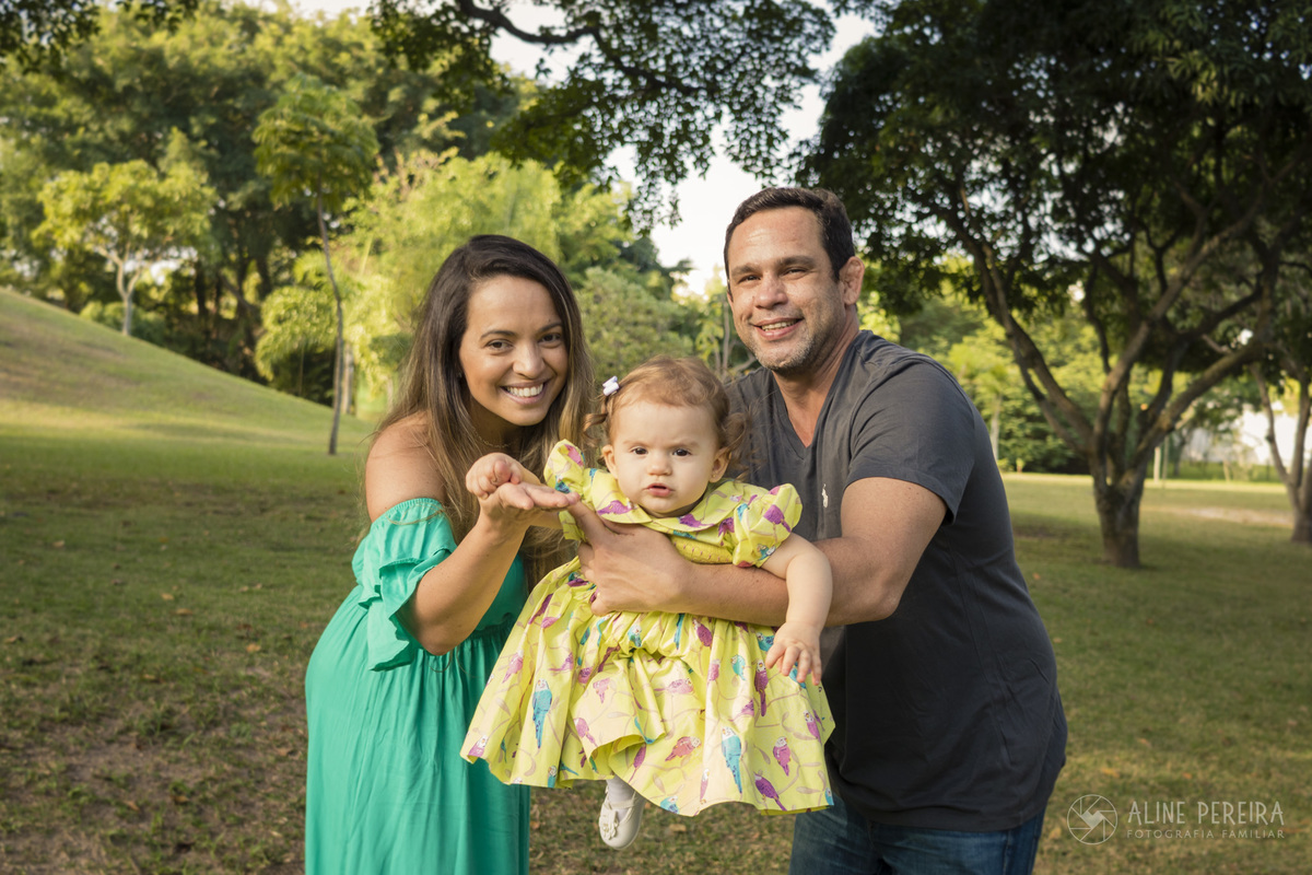 pai e mãe fazendo aviãozinho com a criança no parque