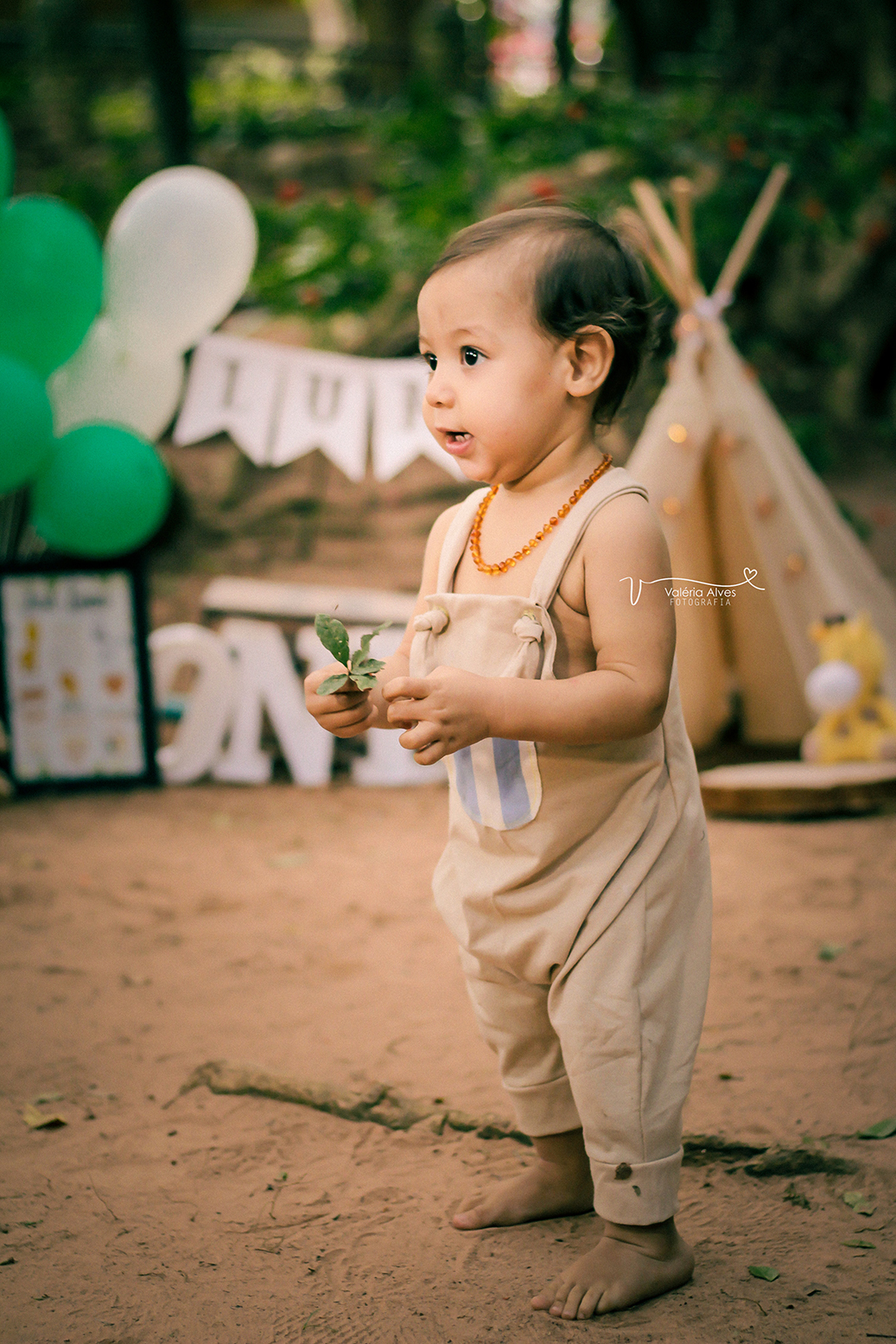 Book externo, Barbalha, ceara, safari, smash the cake.