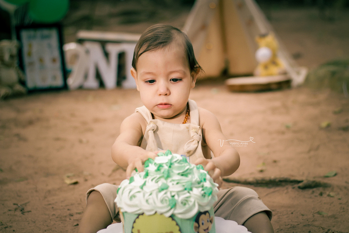 Book externo, Barbalha, ceara, safari, smash the cake.
