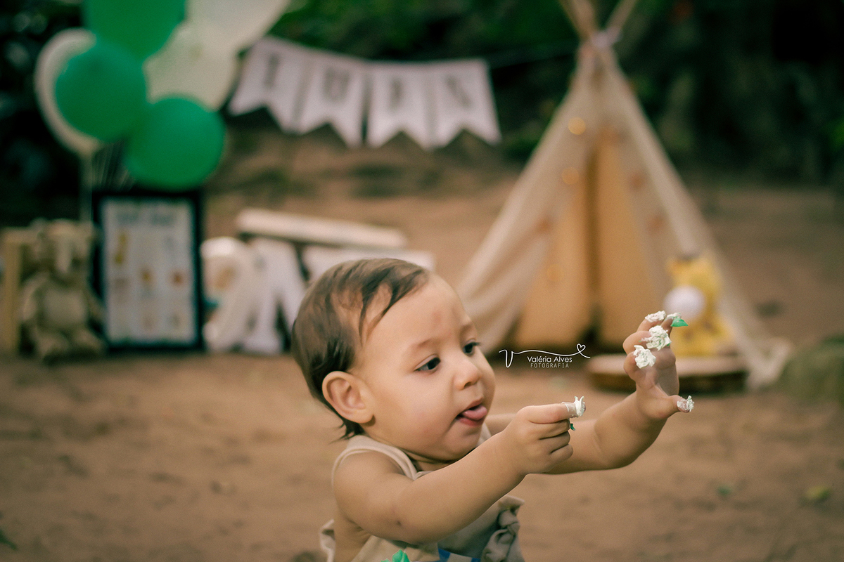 Book externo, Barbalha, ceara, safari, smash the cake.