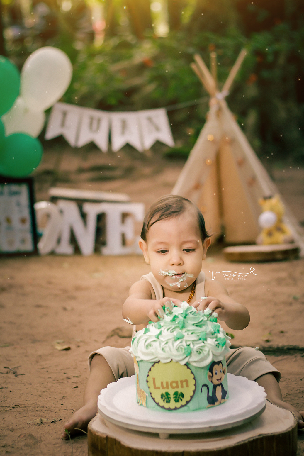 Book externo, Barbalha, ceara, safari, smash the cake.