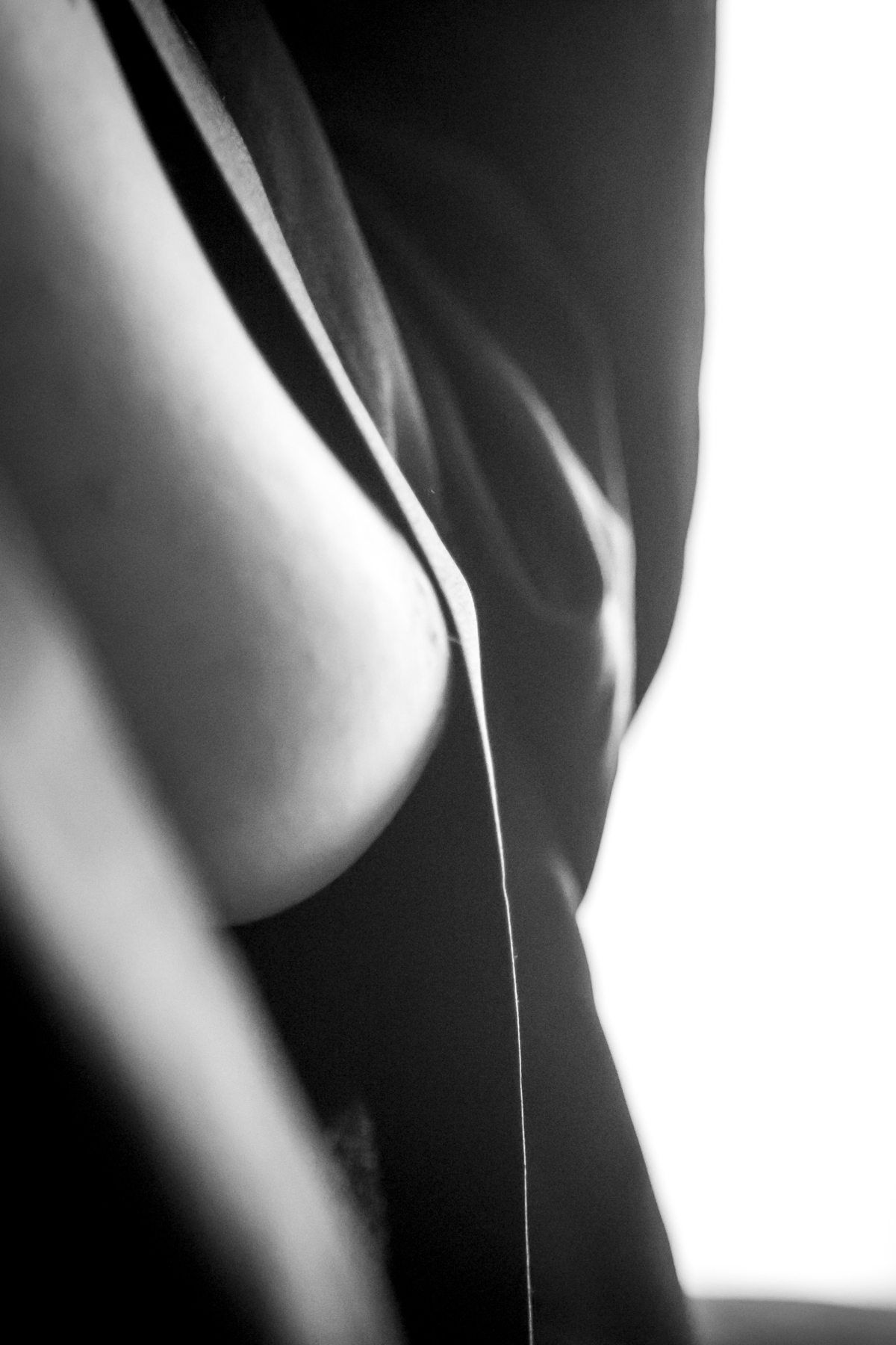 seio feminino, sessão fotográfica com seio feminino