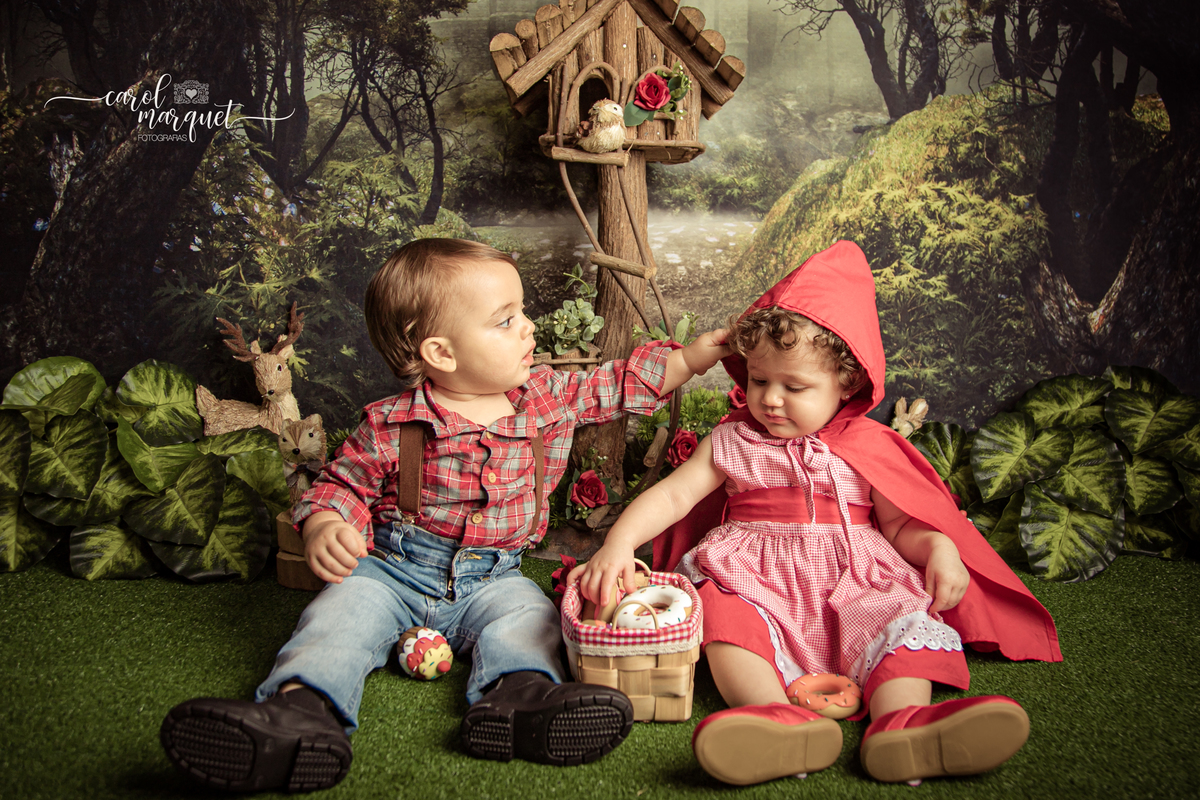 acompanhamento trimestral bimestral mensal Niterói Rio de Janeiro Itaipu Região Oceânica Fotografia retrato infantil bebê gêmeos casal chapeuzinho vermelho lenhador lobo mau floresta plantas ensaio temático