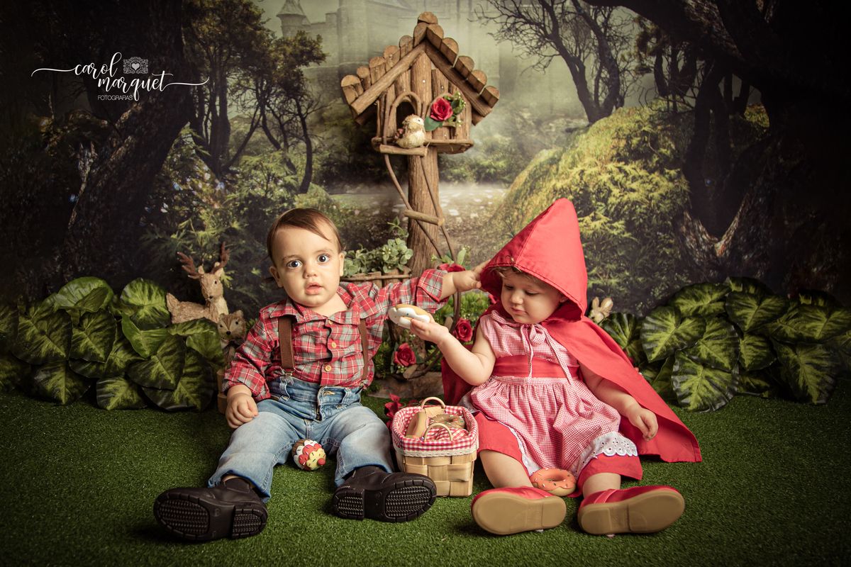 acompanhamento trimestral bimestral mensal Niterói Rio de Janeiro Itaipu Região Oceânica Fotografia retrato infantil bebê gêmeos casal chapeuzinho vermelho lenhador lobo mau floresta plantas ensaio temático