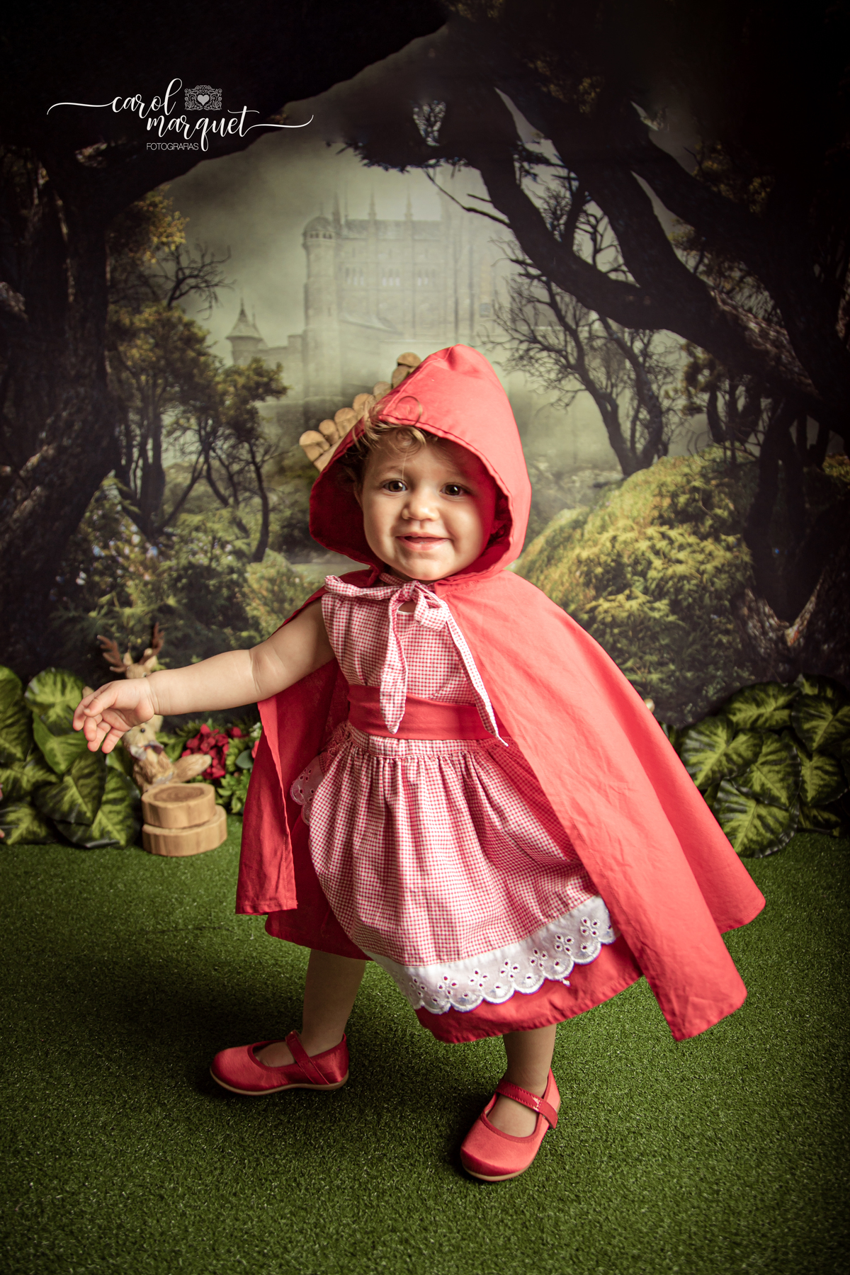 acompanhamento trimestral bimestral mensal Niterói Rio de Janeiro Itaipu Região Oceânica Fotografia retrato infantil bebê gêmeos casal chapeuzinho vermelho lenhador lobo mau floresta plantas ensaio temático