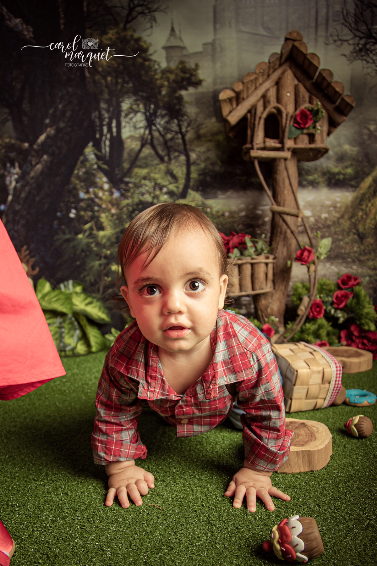 acompanhamento trimestral bimestral mensal Niterói Rio de Janeiro Itaipu Região Oceânica Fotografia retrato infantil bebê gêmeos casal chapeuzinho vermelho lenhador lobo mau floresta plantas ensaio temático