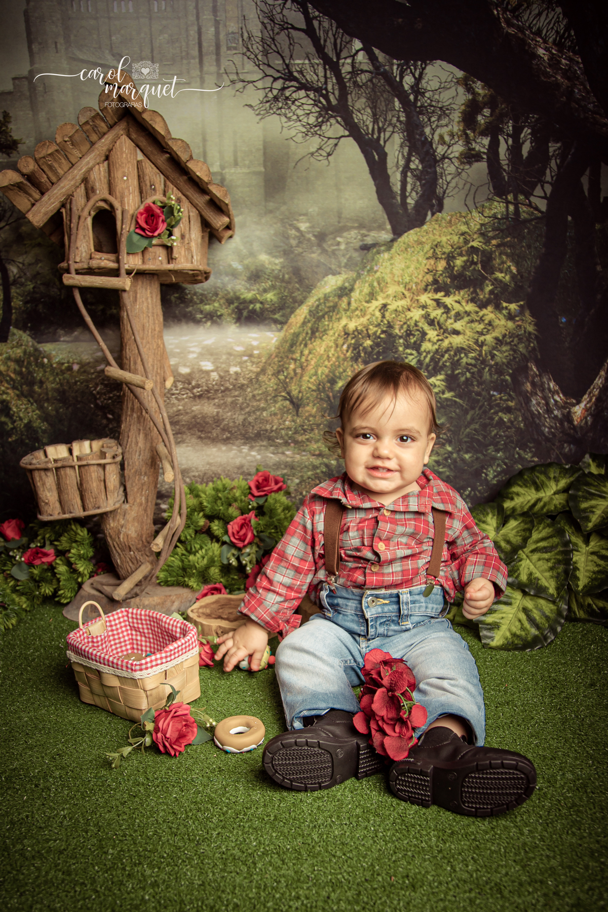 acompanhamento trimestral bimestral mensal Niterói Rio de Janeiro Itaipu Região Oceânica Fotografia retrato infantil bebê gêmeos casal chapeuzinho vermelho lenhador lobo mau floresta plantas ensaio temático
