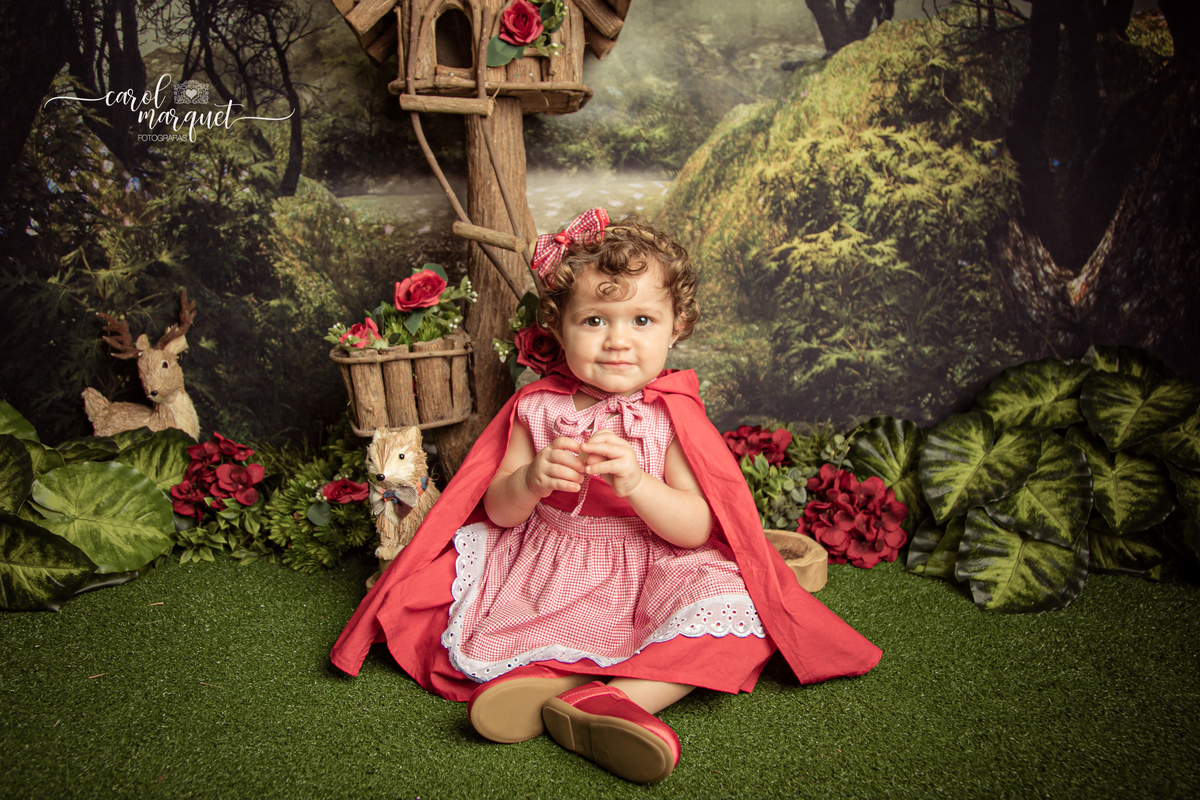 acompanhamento trimestral bimestral mensal Niterói Rio de Janeiro Itaipu Região Oceânica Fotografia retrato infantil bebê gêmeos casal chapeuzinho vermelho lenhador lobo mau floresta plantas ensaio temático