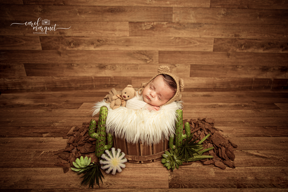 newborn recém nascido fotografia retrato ensaio fotográfico Niterói Rio de Janeiro Itaipu Região Oceânica príncipe bebê menino família amigurumi astronauta coala urso floresta