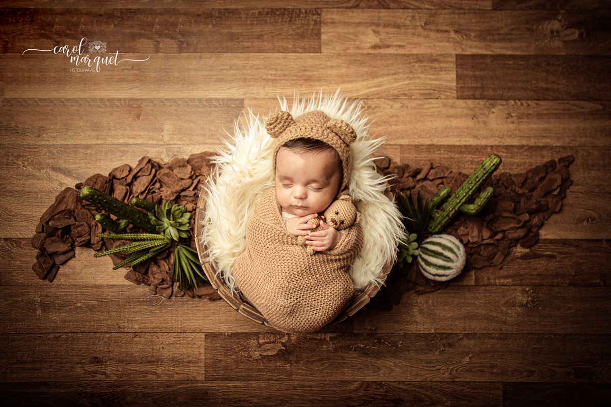 newborn recém nascido fotografia retrato ensaio fotográfico Niterói Rio de Janeiro Itaipu Região Oceânica príncipe bebê menino família amigurumi astronauta coala urso floresta