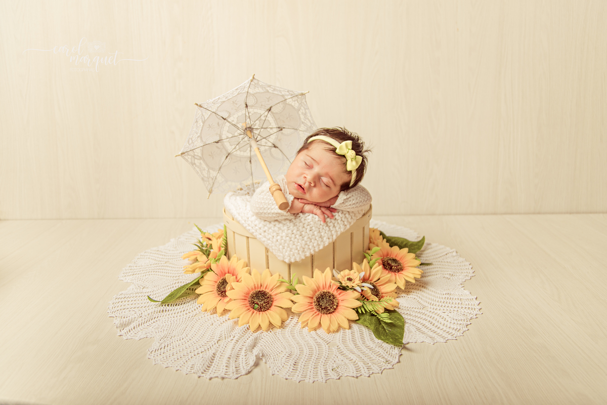 newborn recém nascido bebê neném fotografia retrato ensaio fotográfico princesa doces flores jardim família irmã Niterói Rio de Janeiro Itaipu Região Oceânica