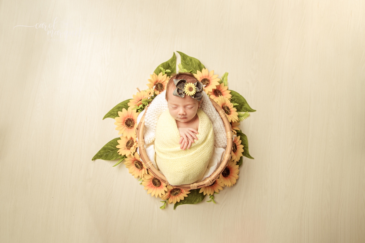 newborn recém nascido bebê princesa Alice no País das Maravilhas flores floresta girassol amigurumi romântico retrô família retrato ensaio fotográfico fotografia Niterói Itaipu Região Oceânica Rio de Janeiro