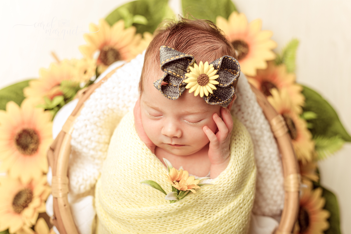 newborn recém nascido bebê princesa Alice no País das Maravilhas flores floresta girassol amigurumi romântico retrô família retrato ensaio fotográfico fotografia Niterói Itaipu Região Oceânica Rio de Janeiro