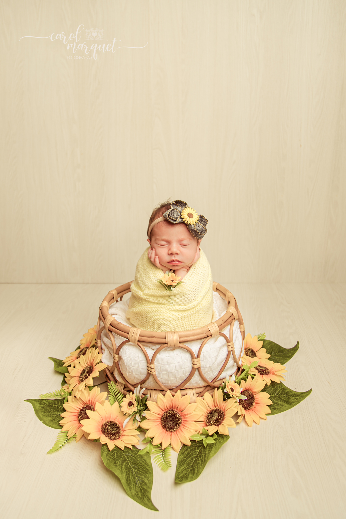 newborn recém nascido bebê princesa Alice no País das Maravilhas flores floresta girassol amigurumi romântico retrô família retrato ensaio fotográfico fotografia Niterói Itaipu Região Oceânica Rio de Janeiro