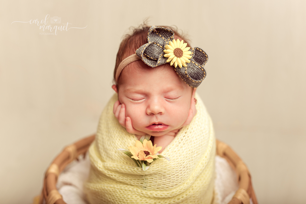 newborn recém nascido bebê princesa Alice no País das Maravilhas flores floresta girassol amigurumi romântico retrô família retrato ensaio fotográfico fotografia Niterói Itaipu Região Oceânica Rio de Janeiro