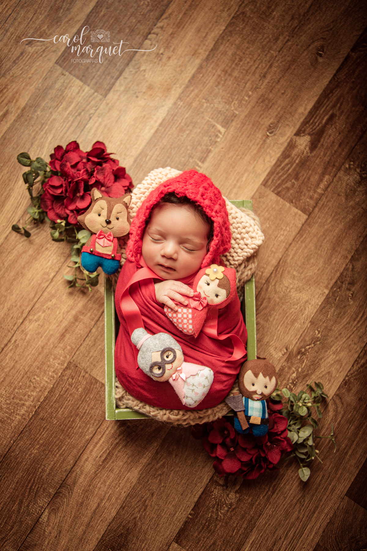 newborn recém nascido bebê neném doces fotografia retrato ensaio da família irmãs chapeuzinho flor jardim Niterói Itaipu Região Oceânica Rio de Janeiro