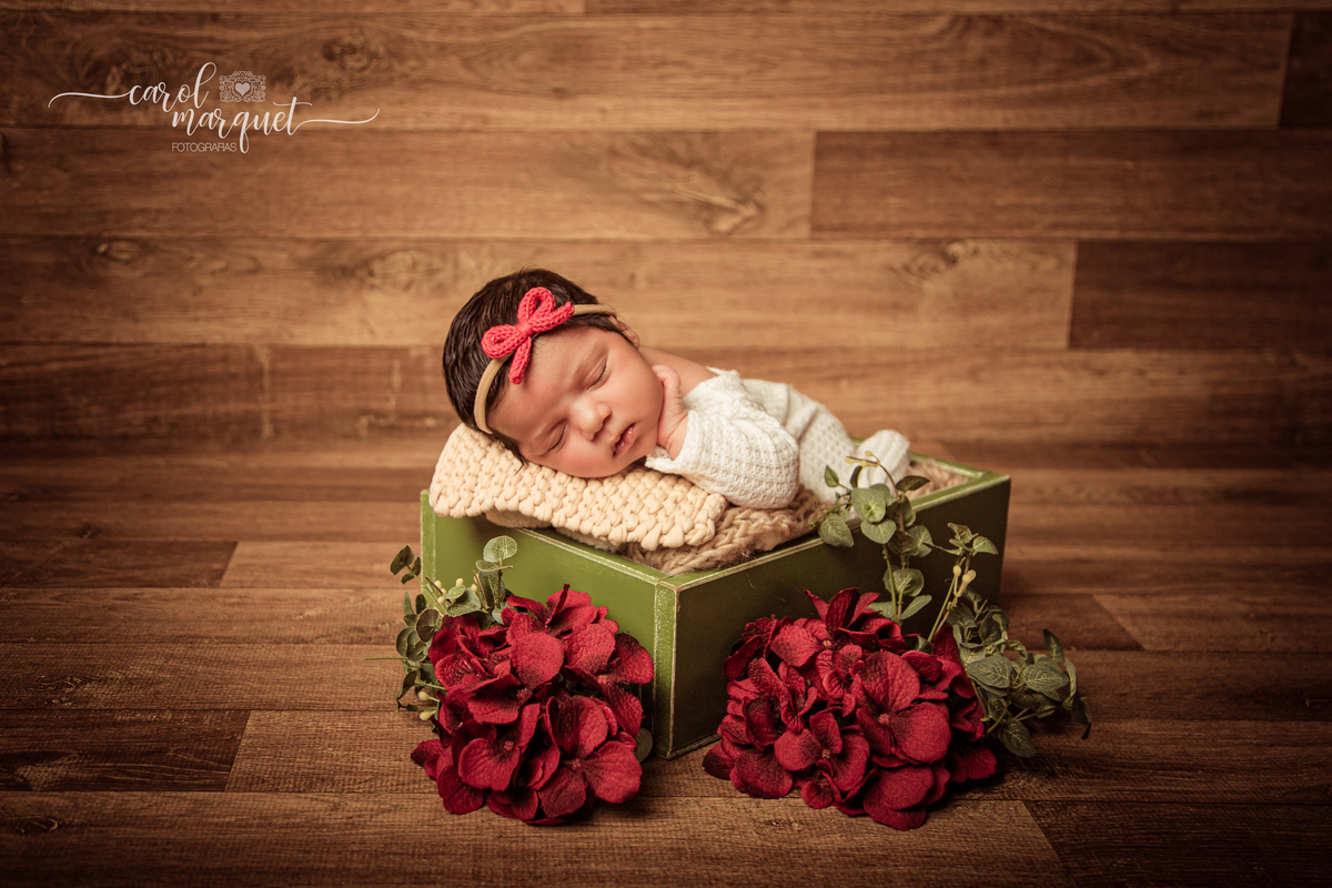 newborn recém nascido bebê neném doces fotografia retrato ensaio da família irmãs chapeuzinho flor jardim Niterói Itaipu Região Oceânica Rio de Janeiro