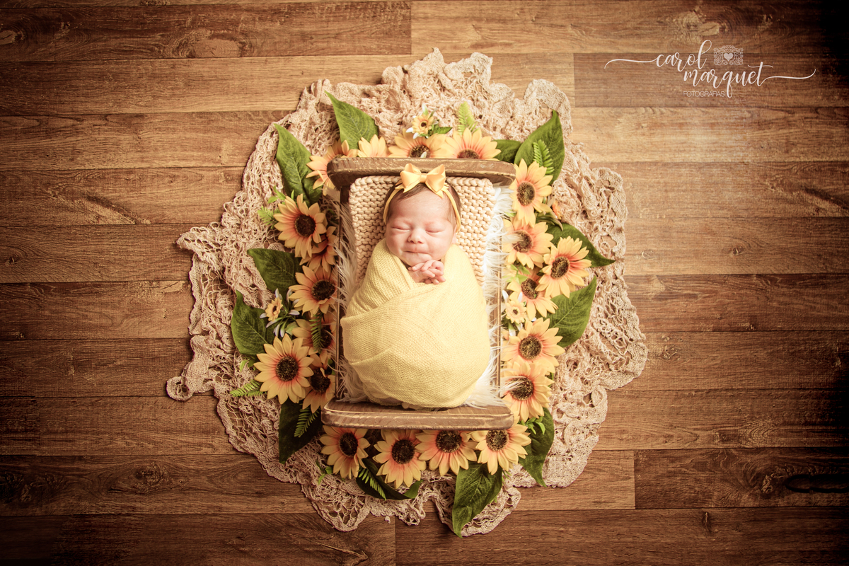 newborn recém nascido princesa shein arquiteto engenheiro apple stabucks rosa flor jardim chapeuzinho vermelho família ensaio infantil acompanhamento Itaipu Região Oceânica Niterói Rio de Janeiro Brasil