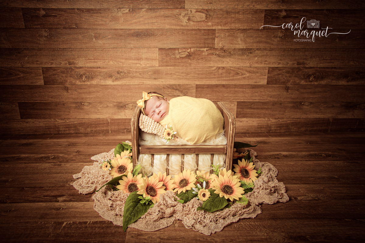 newborn recém nascido princesa shein arquiteto engenheiro apple stabucks rosa flor jardim chapeuzinho vermelho família ensaio infantil acompanhamento Itaipu Região Oceânica Niterói Rio de Janeiro Brasil