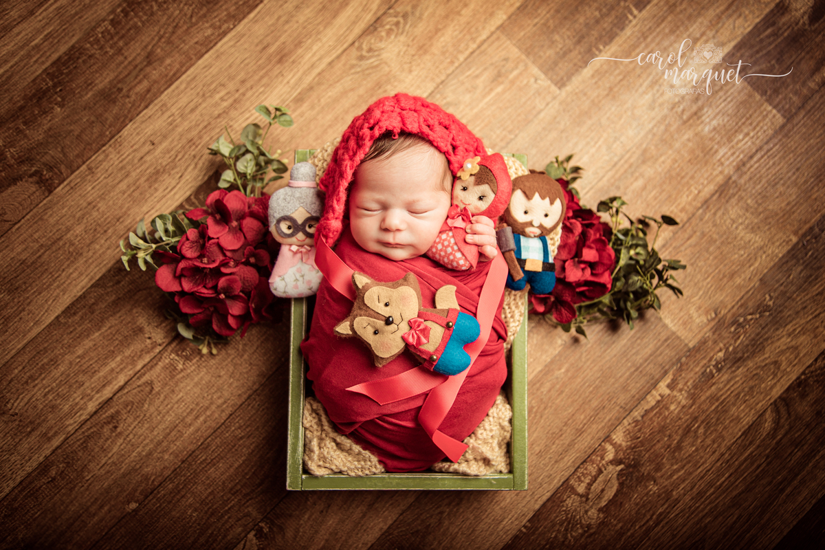 newborn recém nascido princesa shein arquiteto engenheiro apple stabucks rosa flor jardim chapeuzinho vermelho família ensaio infantil acompanhamento Itaipu Região Oceânica Niterói Rio de Janeiro Brasil