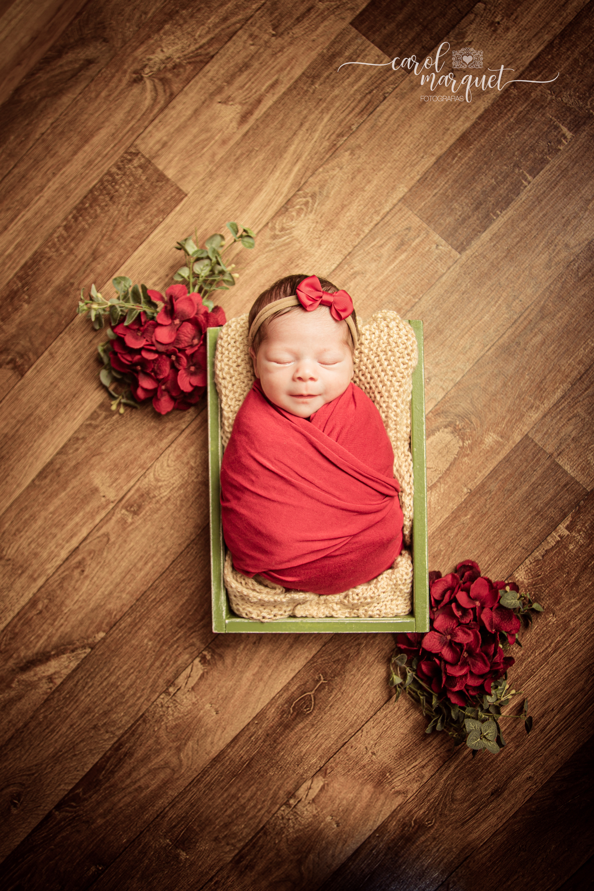 newborn recém nascido princesa shein arquiteto engenheiro apple stabucks rosa flor jardim chapeuzinho vermelho família ensaio infantil acompanhamento Itaipu Região Oceânica Niterói Rio de Janeiro Brasil