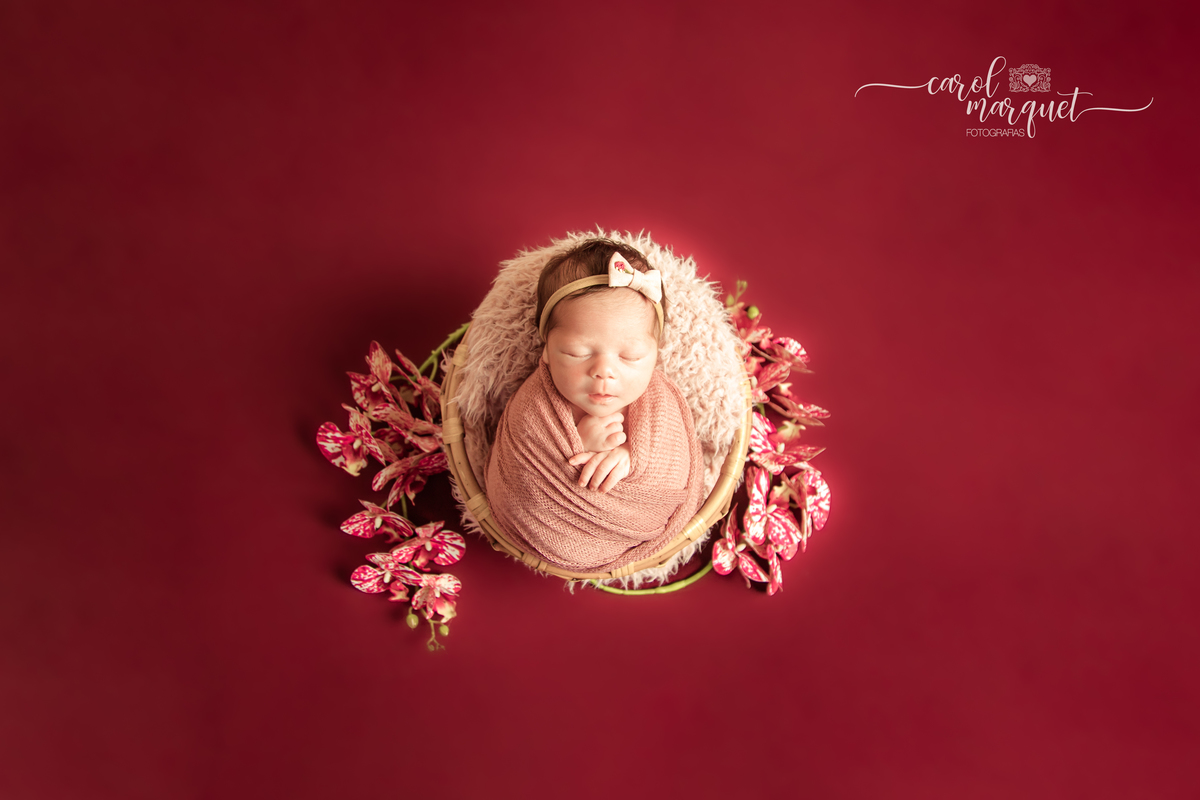 newborn recém nascido princesa shein arquiteto engenheiro apple stabucks rosa flor jardim chapeuzinho vermelho família ensaio infantil acompanhamento Itaipu Região Oceânica Niterói Rio de Janeiro Brasil