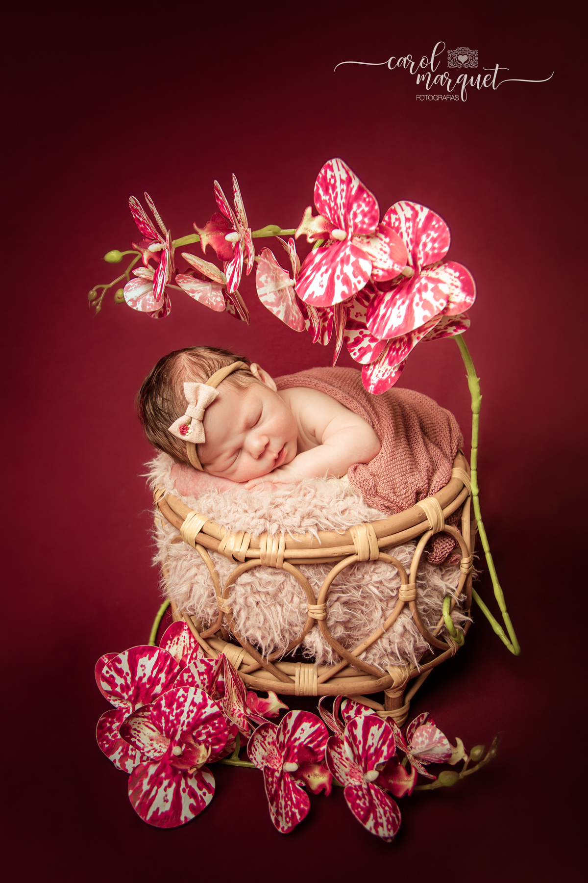 newborn recém nascido princesa shein arquiteto engenheiro apple stabucks rosa flor jardim chapeuzinho vermelho família ensaio infantil acompanhamento Itaipu Região Oceânica Niterói Rio de Janeiro Brasil