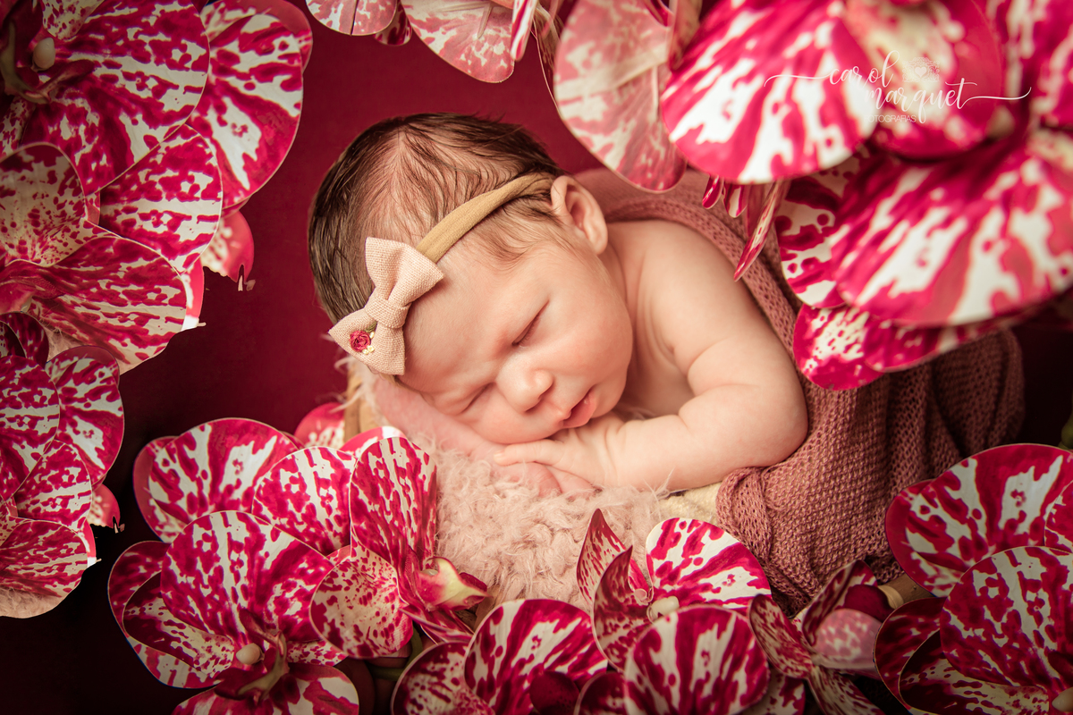 newborn recém nascido princesa shein arquiteto engenheiro apple stabucks rosa flor jardim chapeuzinho vermelho família ensaio infantil acompanhamento Itaipu Região Oceânica Niterói Rio de Janeiro Brasil