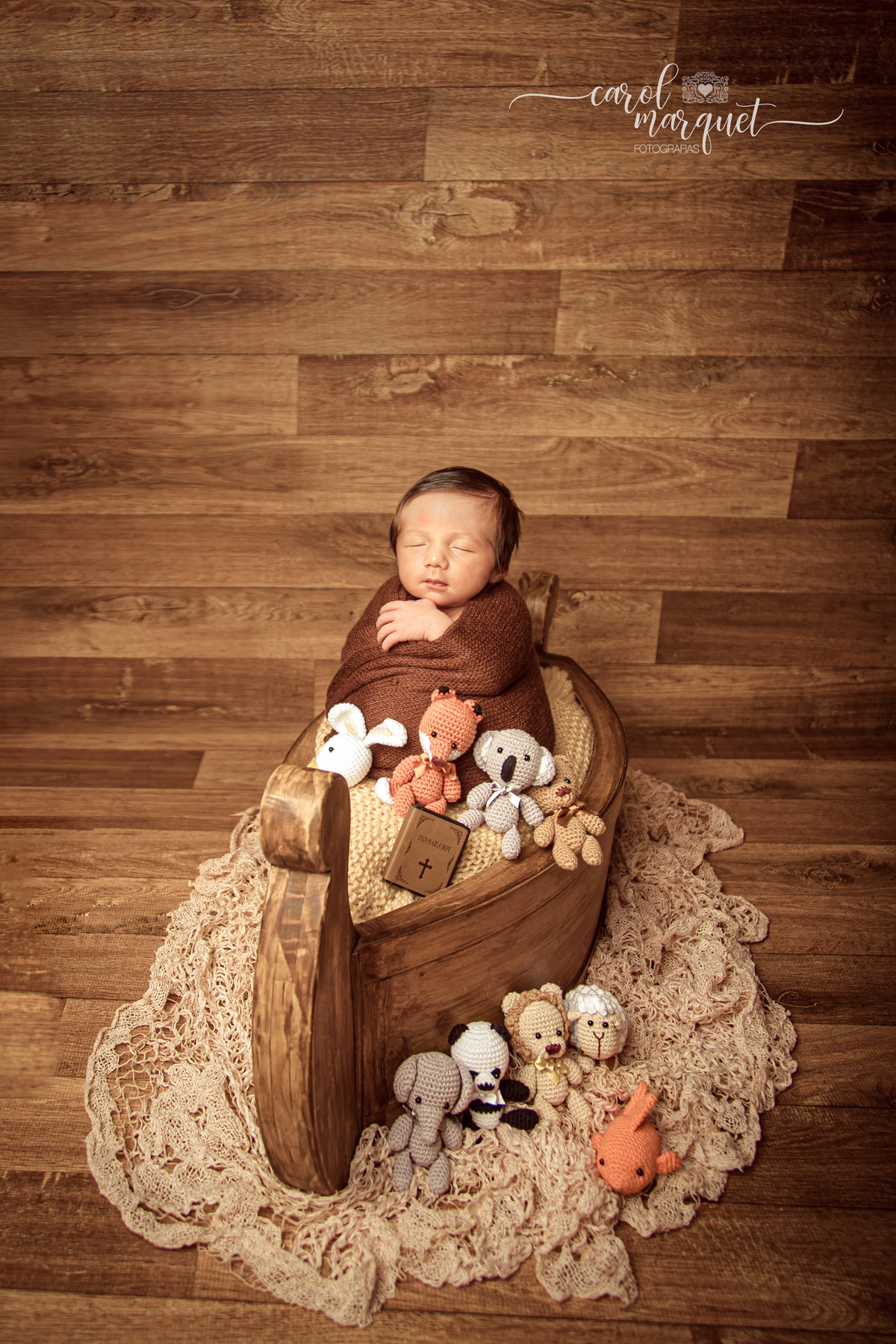 newborn recém nascido bebê neném homenagem Fluminense Tricolor Cachorro família sonho Arca de Noé Amigurumis Bíblia Itaipu Região Oceânica Niterói Rio de Janeiro