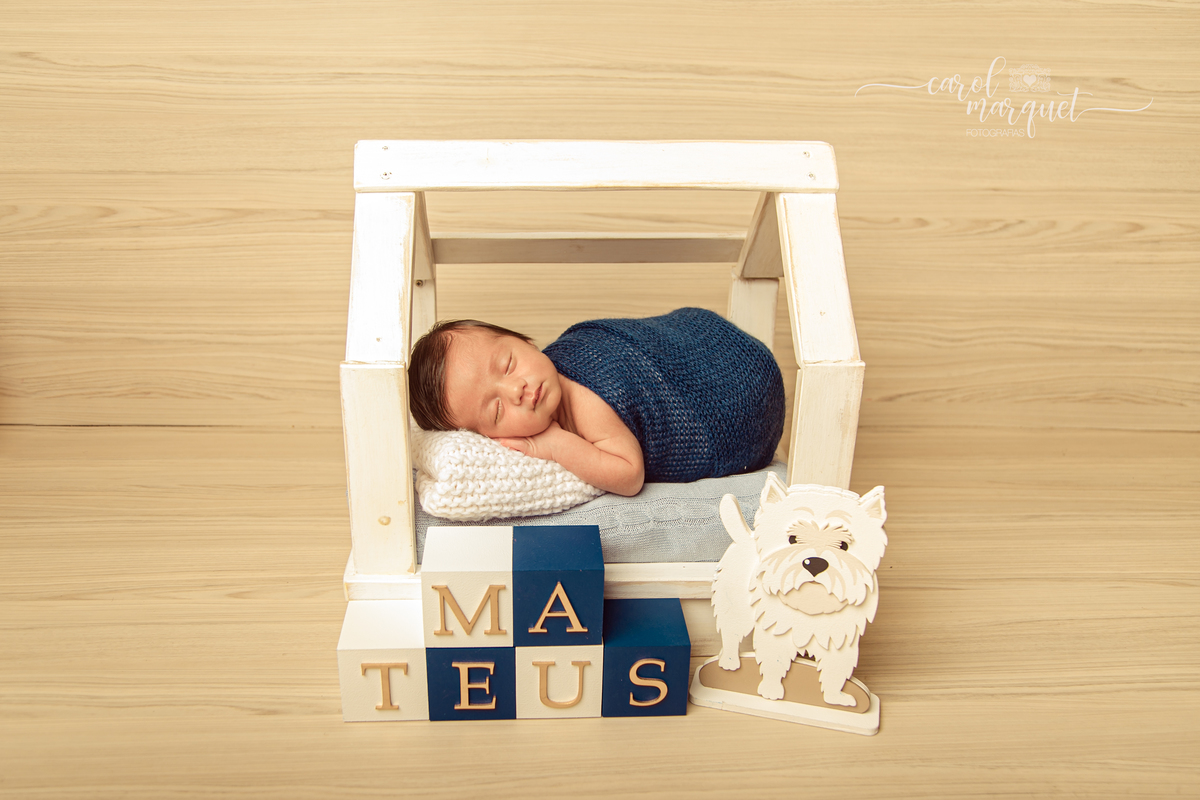 newborn recém nascido bebê neném homenagem Fluminense Tricolor Cachorro família sonho Arca de Noé Amigurumis Bíblia Itaipu Região Oceânica Niterói Rio de Janeiro