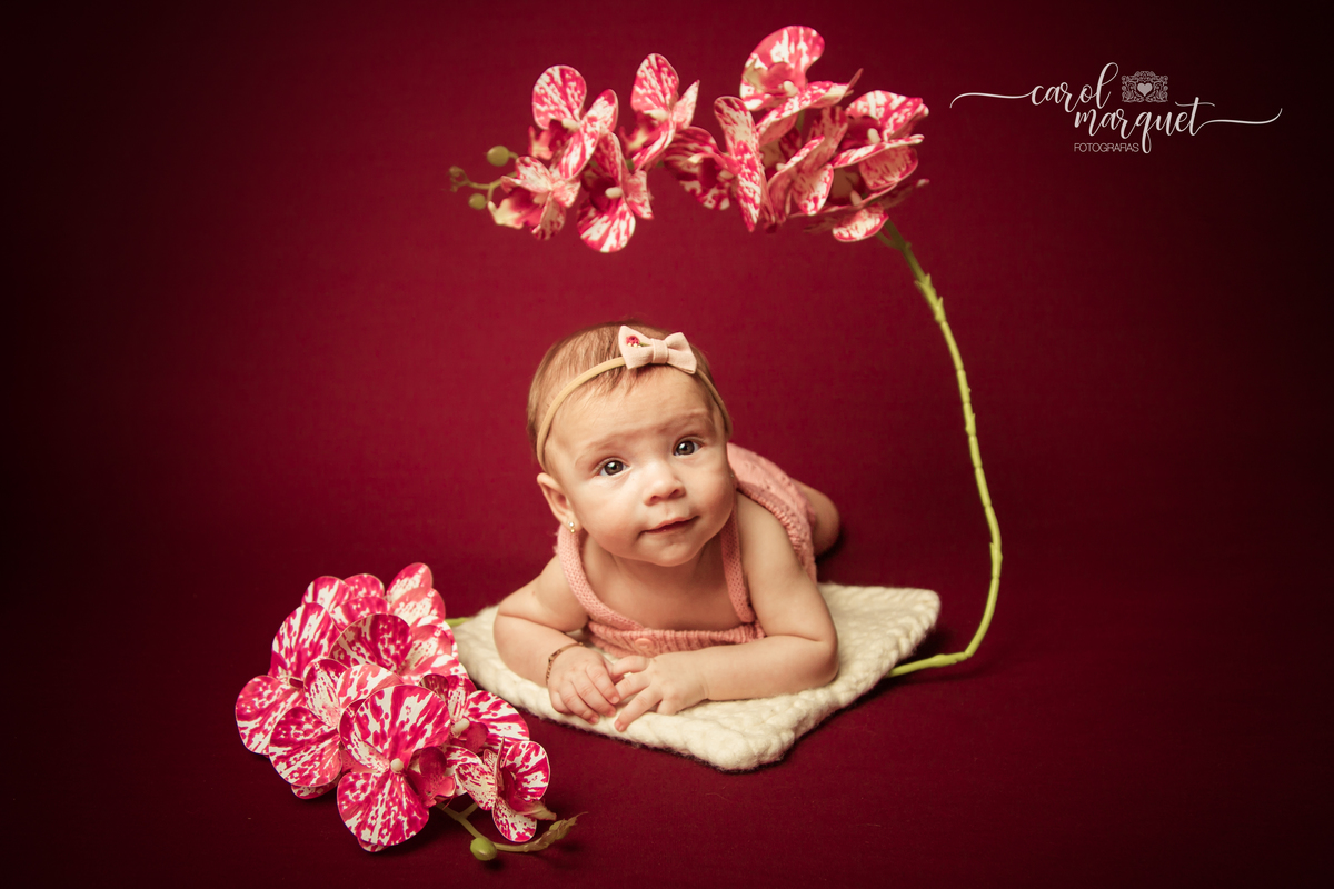 acompanhamento trimestral mensal infantil bebê princesa flor Niterói Rio de Janeiro Itaipu Região dos Lagos