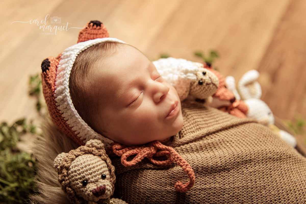 newborn recém nascido floresta animais arca de noé amigurumis bebê família Niterói Região Ocêanica Itaipu Rio de Janeiro