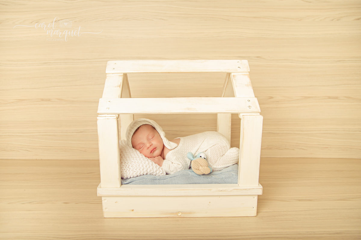 newborn recém nascido floresta animais arca de noé amigurumis bebê família Niterói Região Ocêanica Itaipu Rio de Janeiro