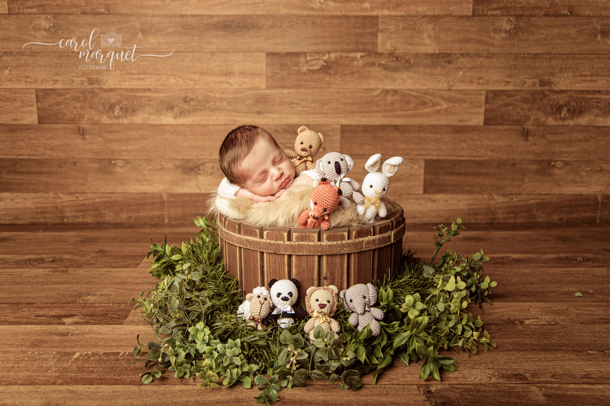 newborn recém nascido floresta animais arca de noé amigurumis bebê família Niterói Região Ocêanica Itaipu Rio de Janeiro