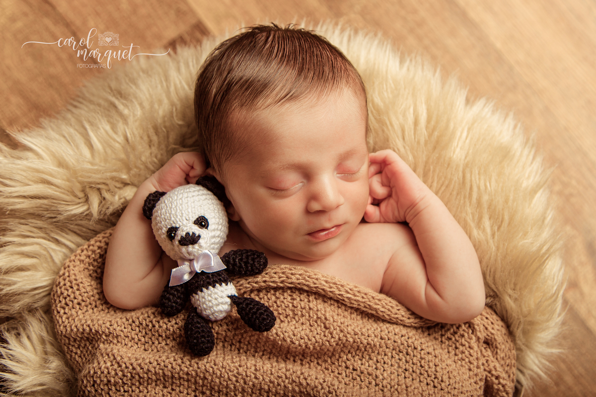 newborn recém nascido floresta animais arca de noé amigurumis bebê família Niterói Região Ocêanica Itaipu Rio de Janeiro