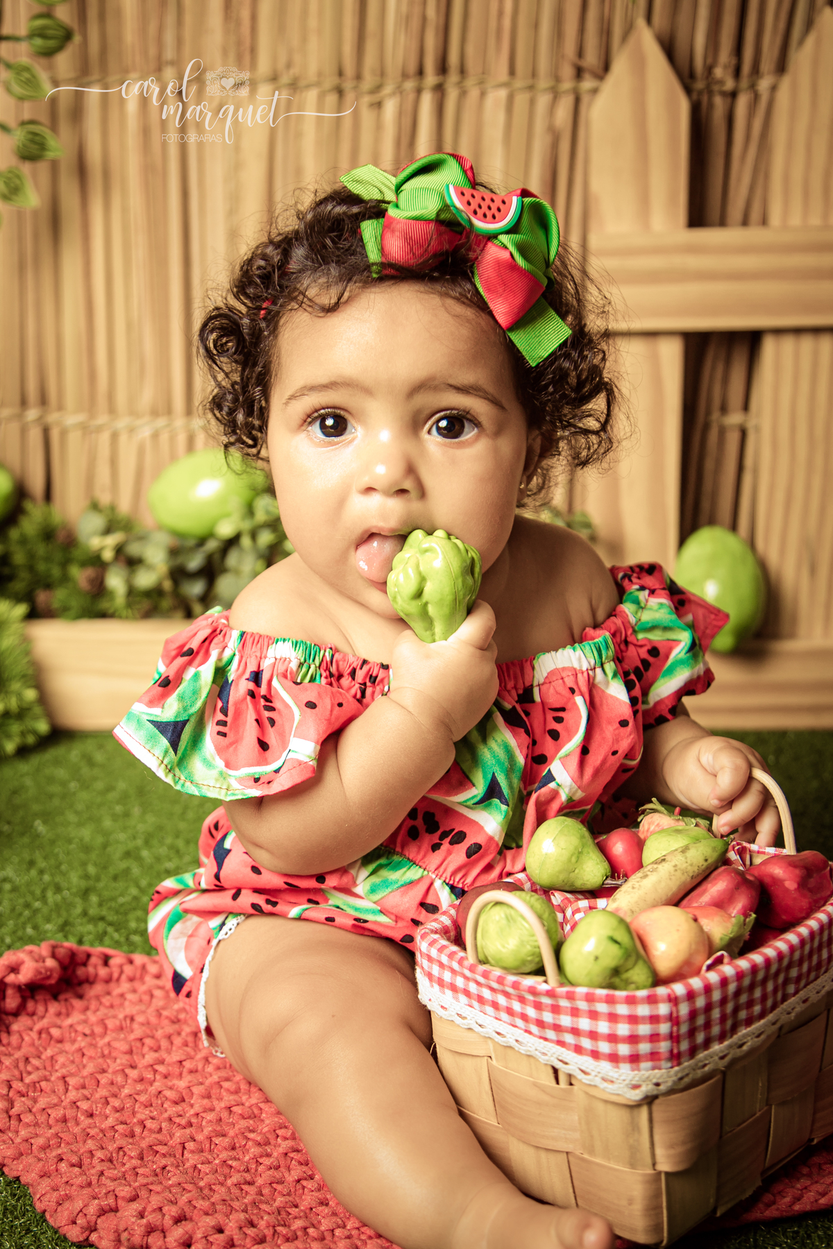 acompanhamento mensal trimestral infantil bebê criança Niterói Rio de Janeiro Itaipu Piratininga Região Oceânica fotografia ensaio fotográfico família circo candy rosa palhacinha  garden jardim rústico flores