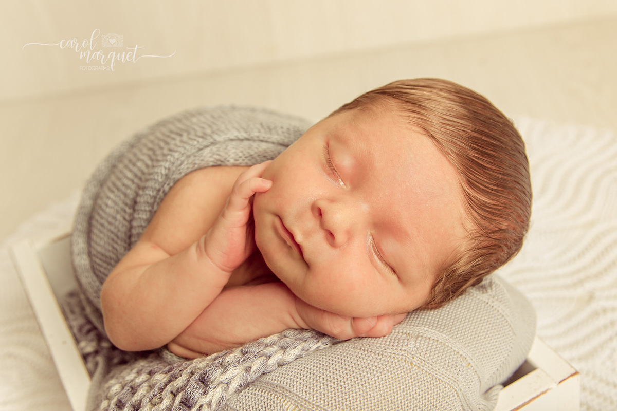 newborn recém nascido bebê neném Natal papai natalino amigurumi coala Niterói Região Oceânica Itaipu Piratininga Rio de Janeiro fotografia ensaio retrato