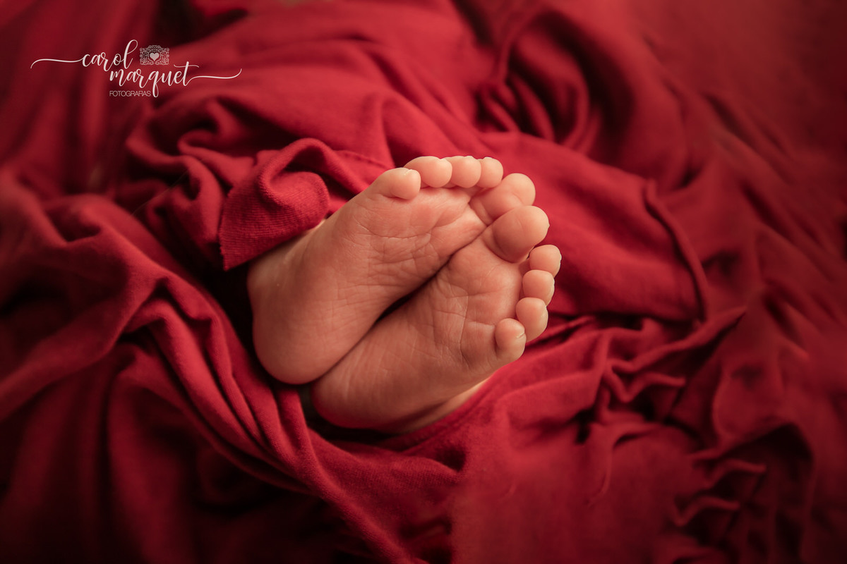 newborn recém nascido bebê neném Natal papai natalino amigurumi coala Niterói Região Oceânica Itaipu Piratininga Rio de Janeiro fotografia ensaio retrato