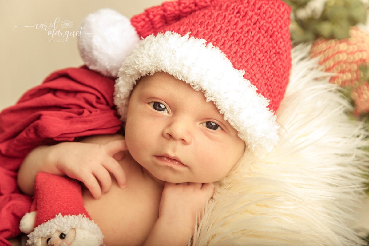 newborn recém nascido bebê neném Natal papai natalino amigurumi coala Niterói Região Oceânica Itaipu Piratininga Rio de Janeiro fotografia ensaio retrato